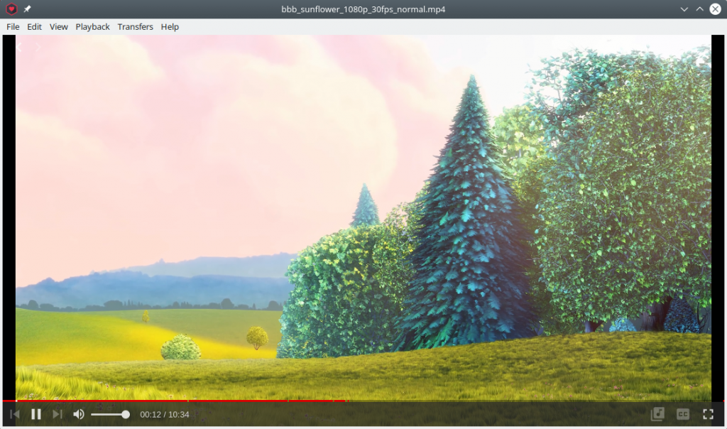 WebTorrent Desktop. Video playback