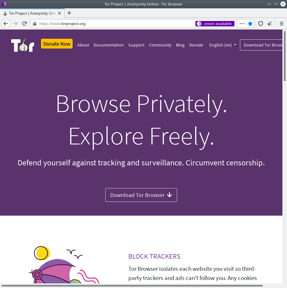 Tor Browser. Viewing the site